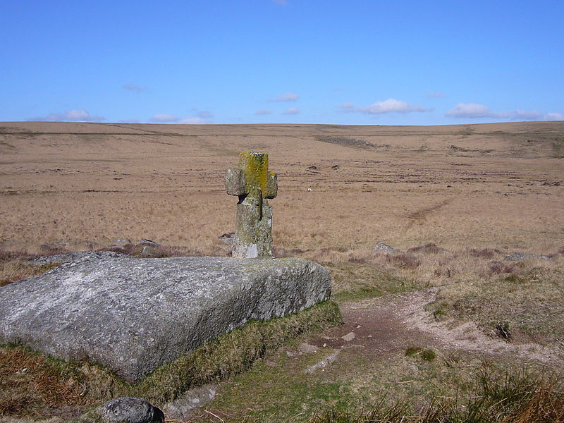 Dartmoor crosses