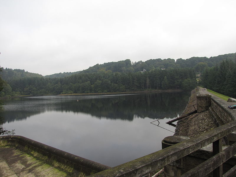 Rivelin Dams