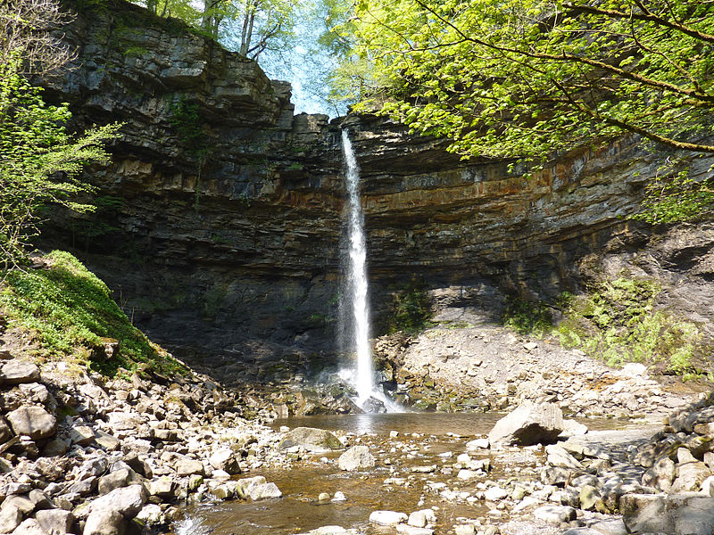 Hardraw Force