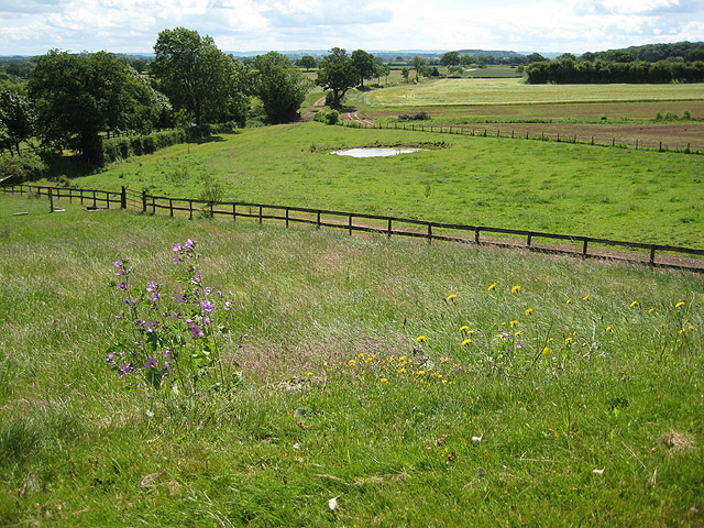 Collinpark Wood SSSI