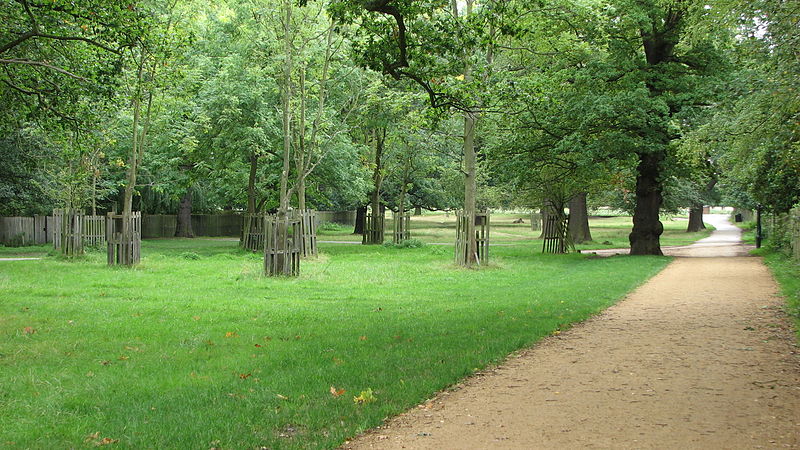 Bushy Park