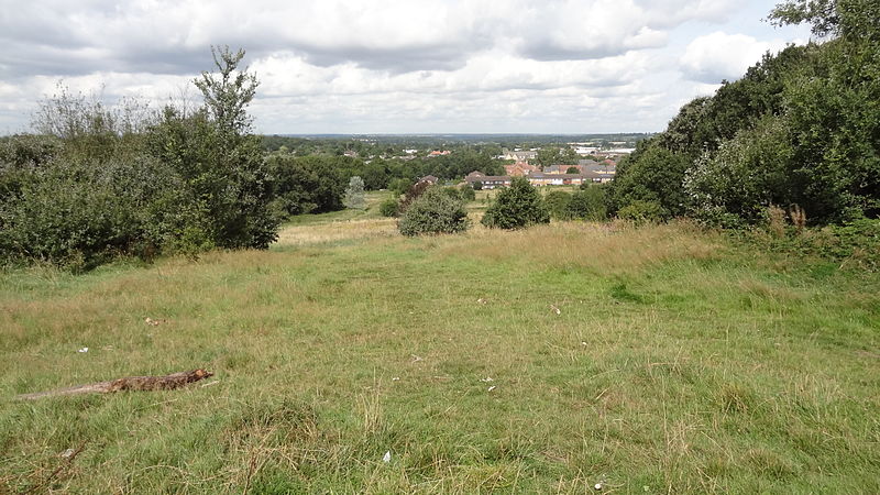 Woodcock Hill Village Green