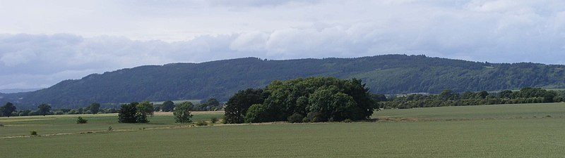 Moncreiffe Hill