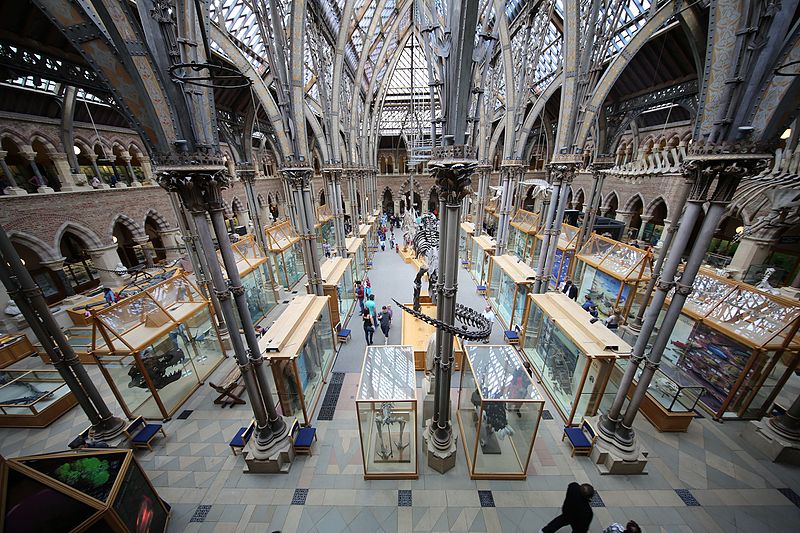 Museo de Historia Natural de la Universidad de Oxford