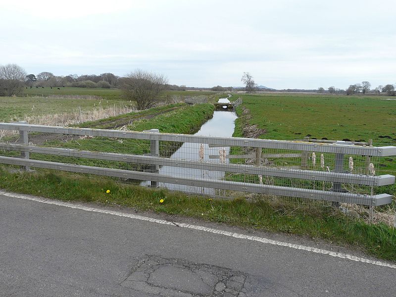 Shapwick Moor