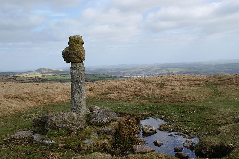 Dartmoor crosses