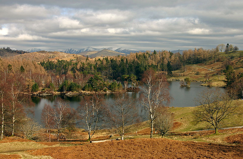 Tarn Hows