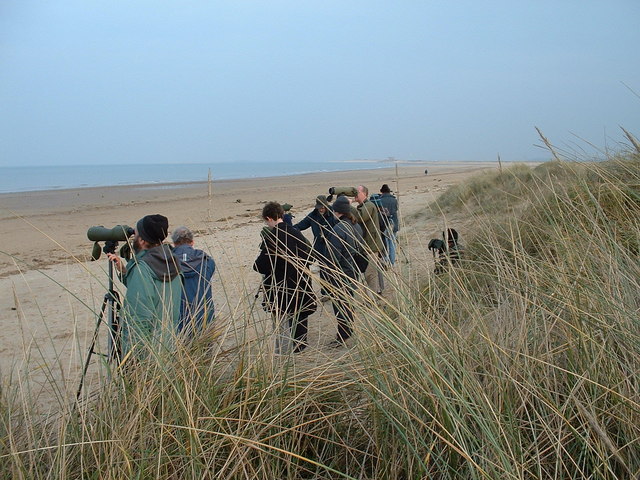 Réserve naturelle de Titchwell Marsh