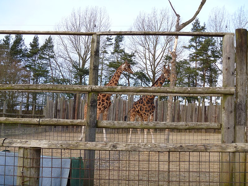 Heythrop Zoological Gardens