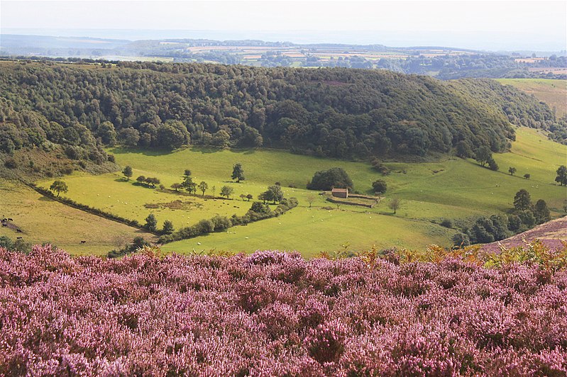 North York Moors