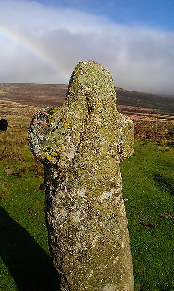 Dartmoor crosses