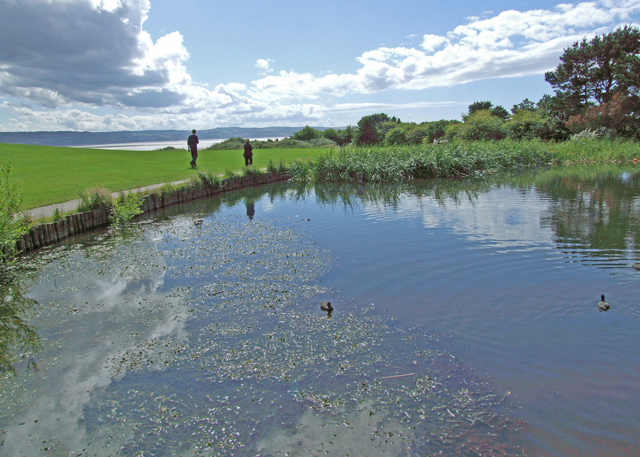 Wirral Country Park