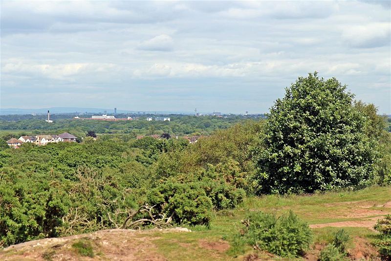 Thurstaston Common