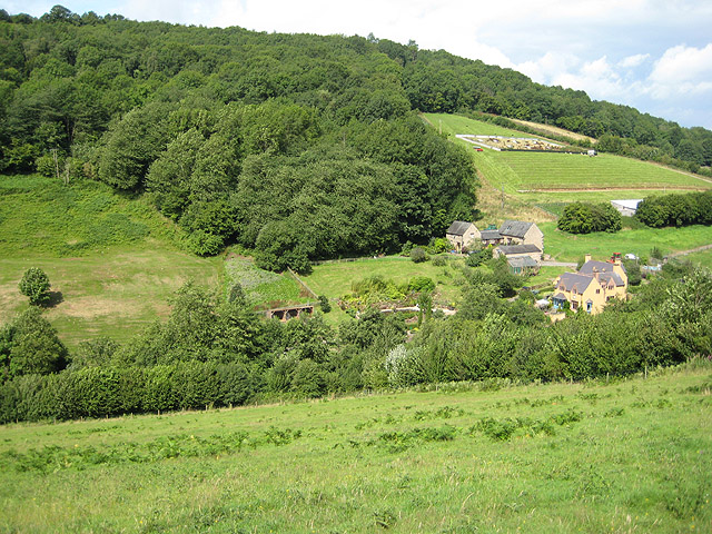 Highbury Wood