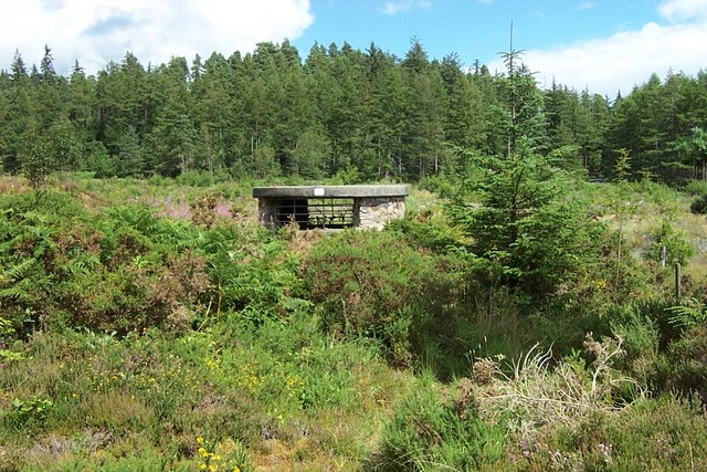 Gwydir Forest