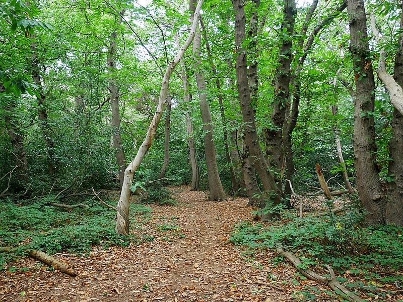 Petts Wood