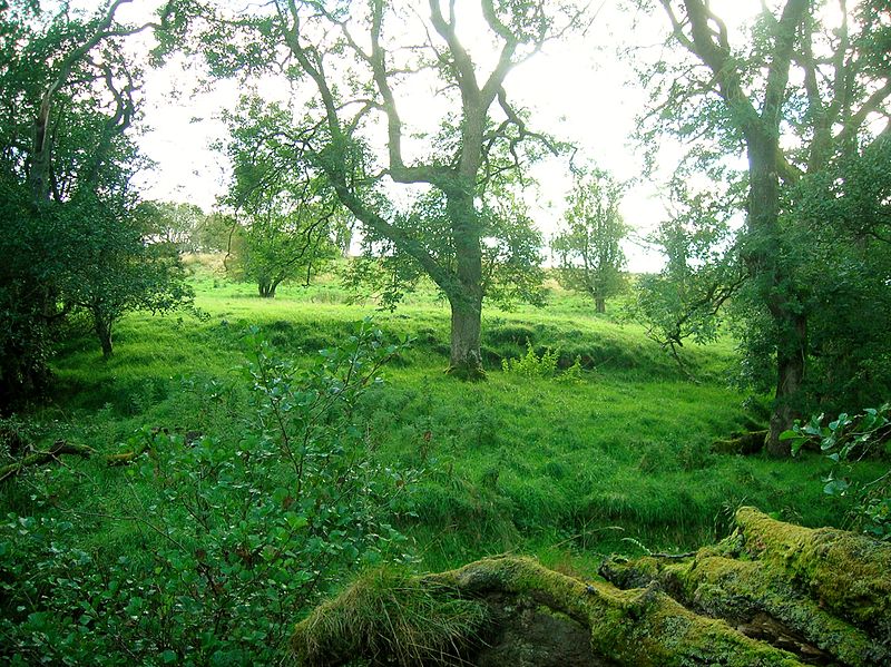 Kerse Castle