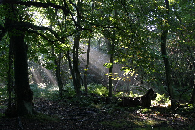 Gosforth Nature Reserve