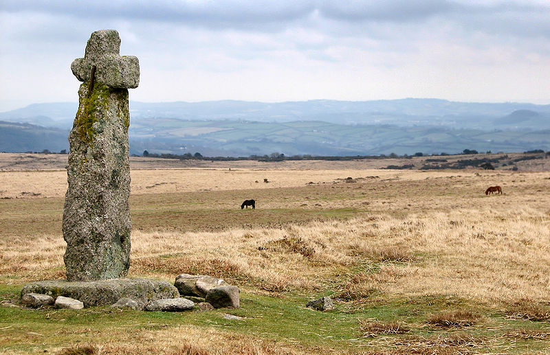 Dartmoor crosses