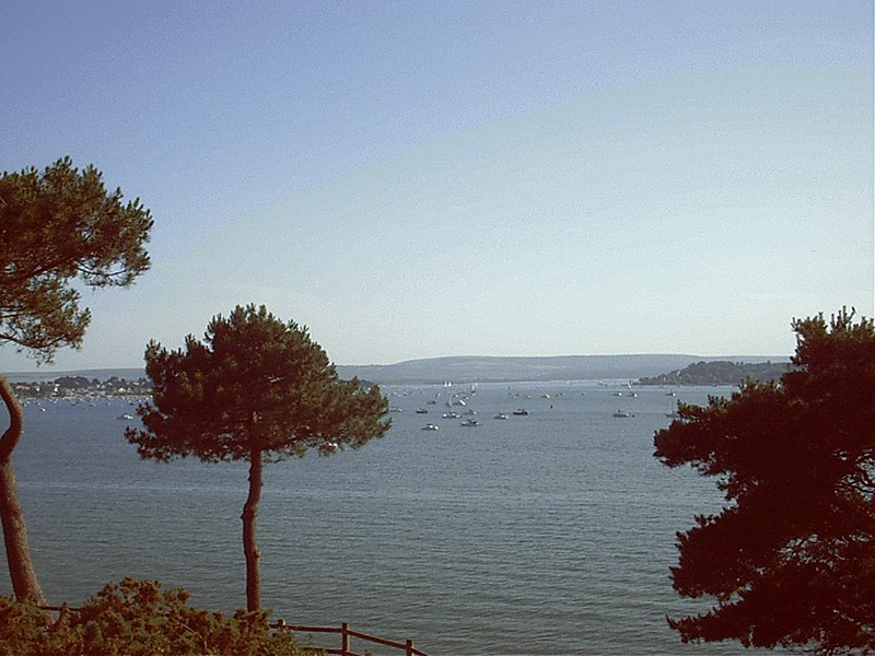 Poole Harbour