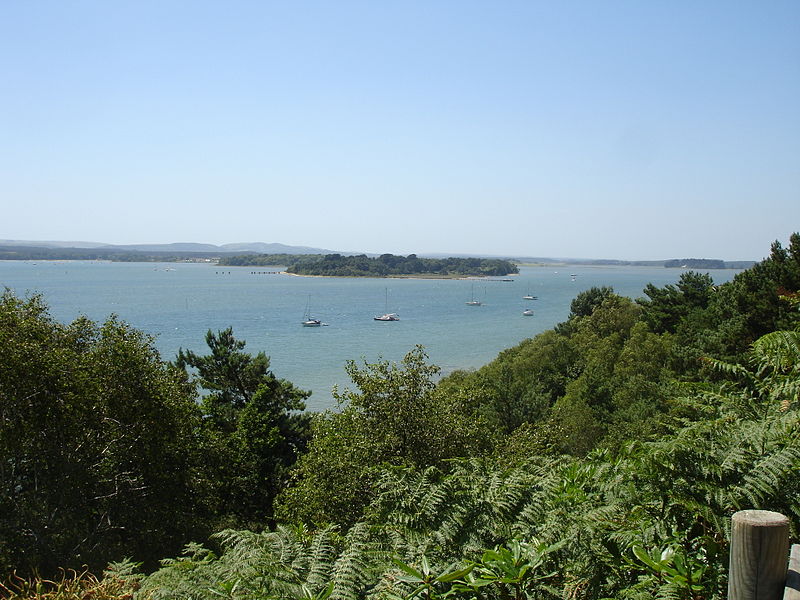 Poole Harbour