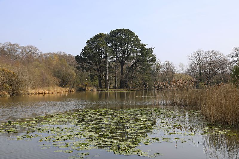 Southampton Common