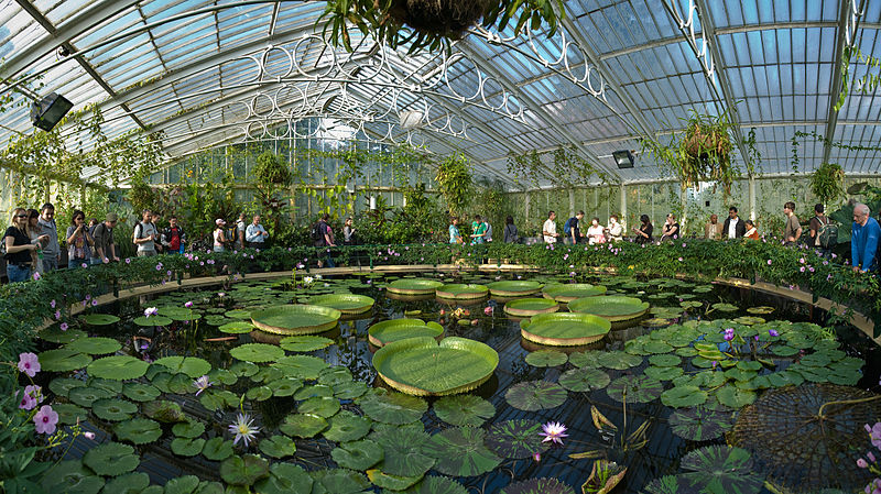Jardins botaniques royaux de Kew