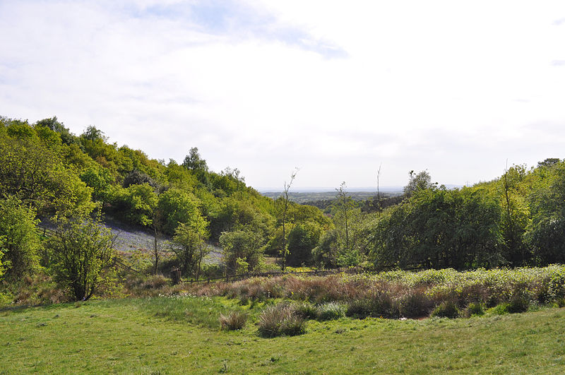 Waseley Hills Country Park