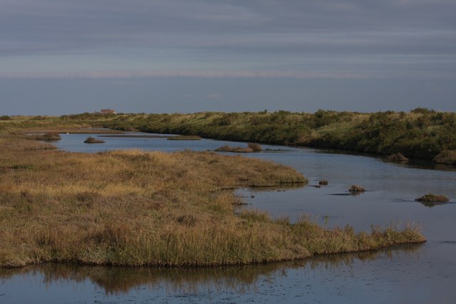 Titchwell Marsh