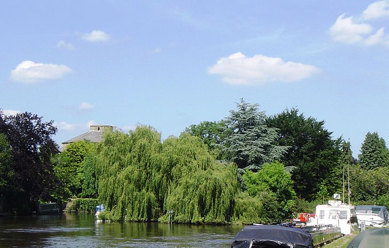 Nag’s Head Island