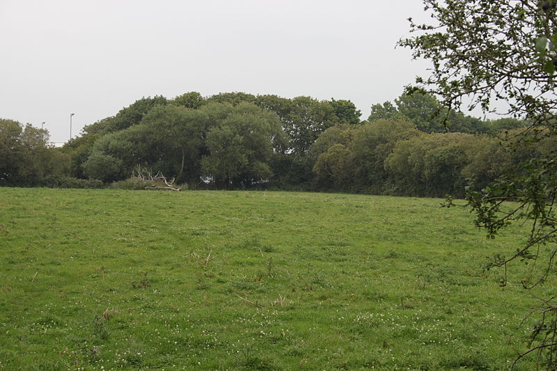 Down End Castle, Tealham and Tadham Moors
