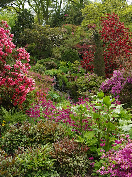 Bodnant Garden