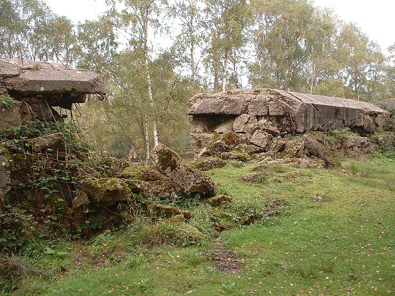 Hankley Common