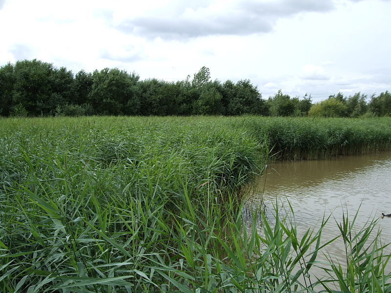Rushcliffe Country Park
