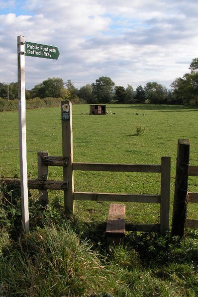 Dymock Woods SSSI