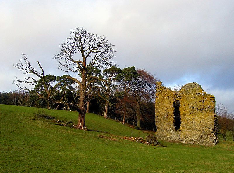 Nether Horsburgh Castle