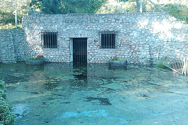 Taff's Well Thermal Spring