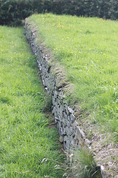 Audleystown Court Cairn