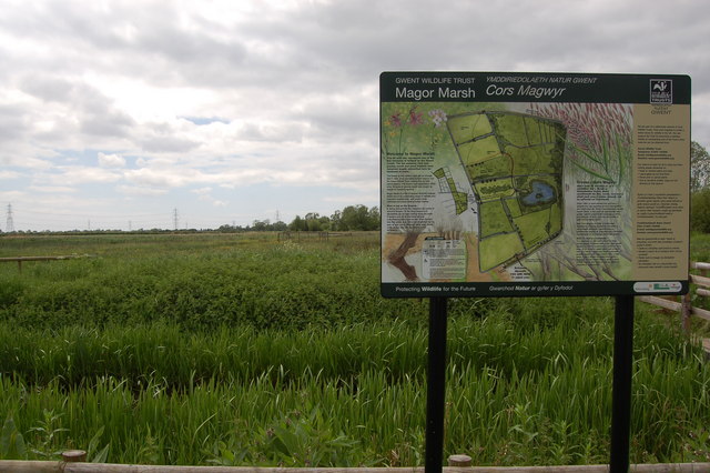 Magor Marsh