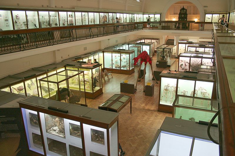 Musée Horniman
