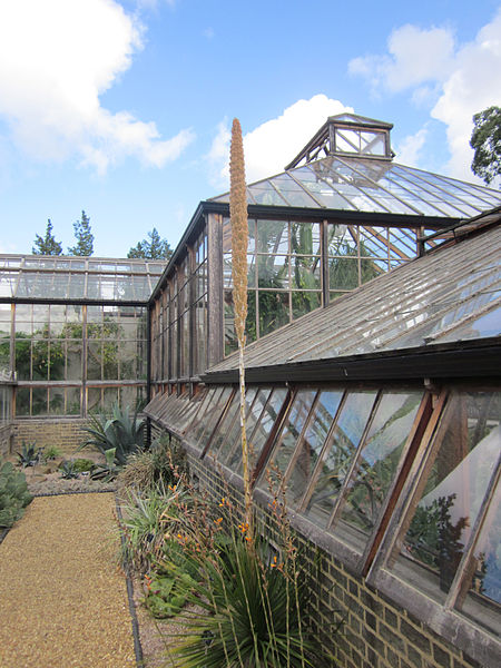 Jardín botánico de la Universidad de Cambridge
