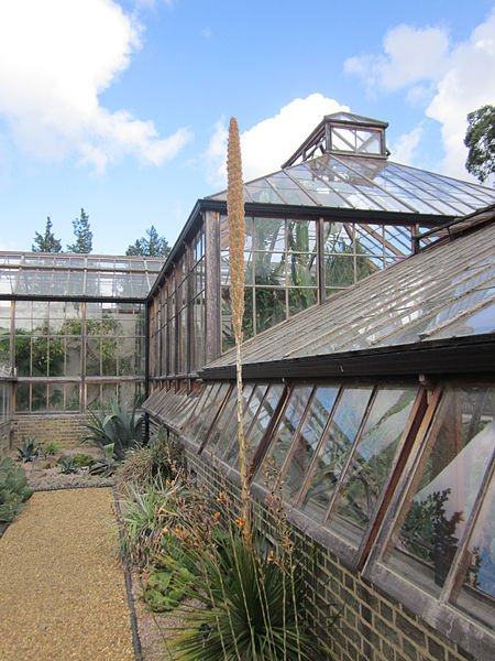 Jardin botanique de l'université de Cambridge