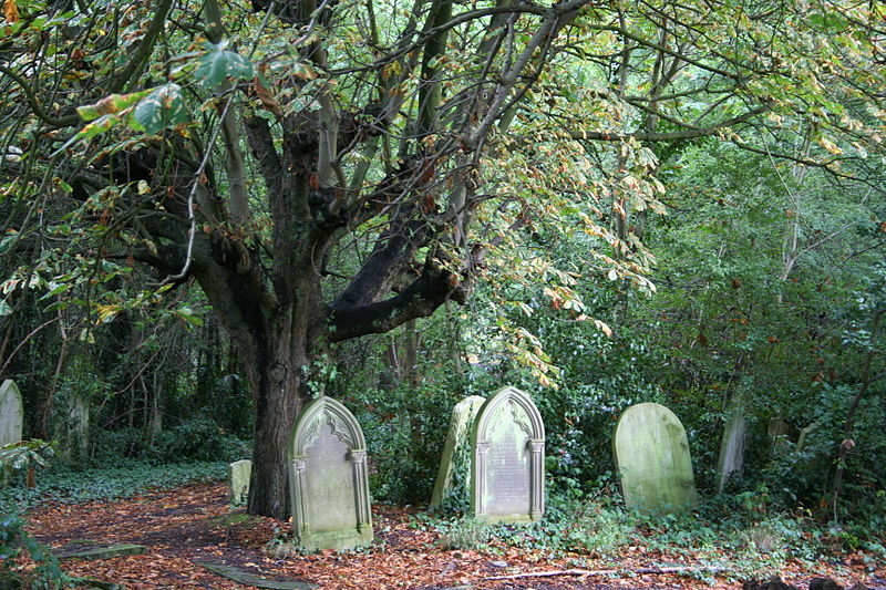 St Pancras and Islington Cemetery
