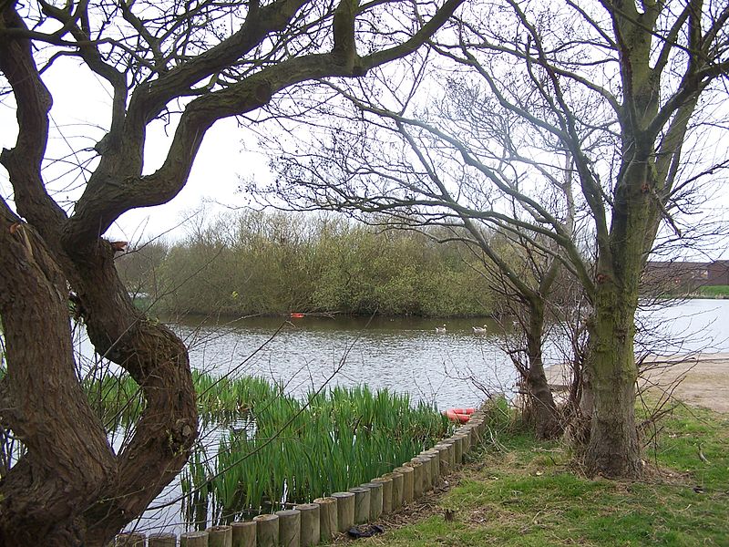 Kincraig Lake Ecological Reserve