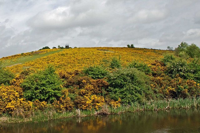 Saltwells Local Nature Reserve, Dudley