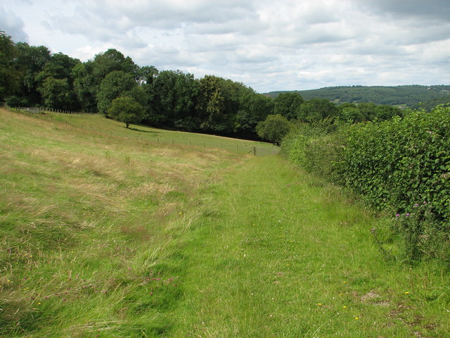Shorn Cliff and Caswell Woods