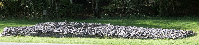 Parc Cwm long cairn