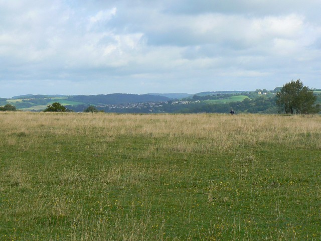 Minchinhampton Common