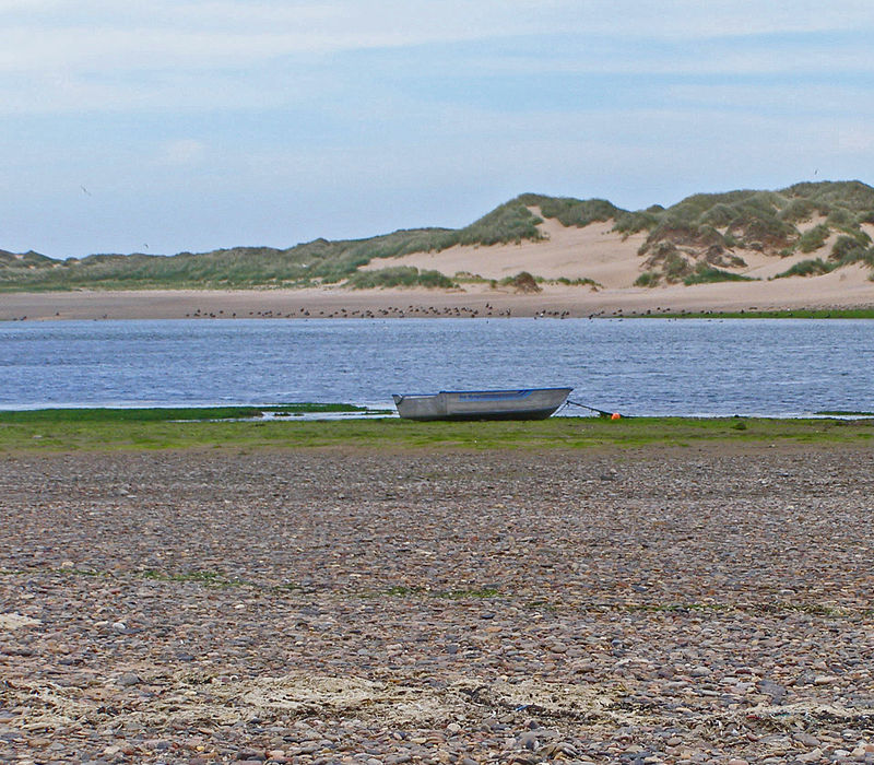 Ythan Estuary