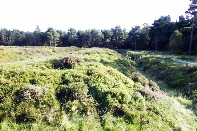 Wade's Causeway, North York Moors